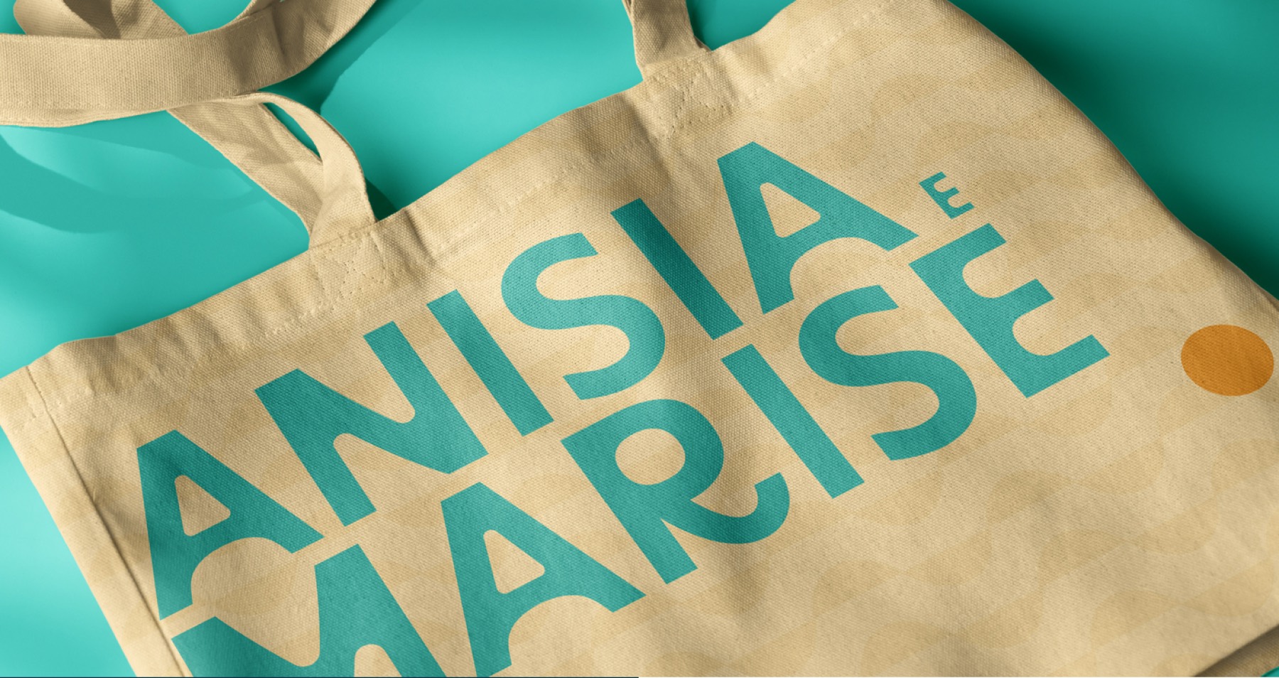 Anisia e Marise — imagem 5