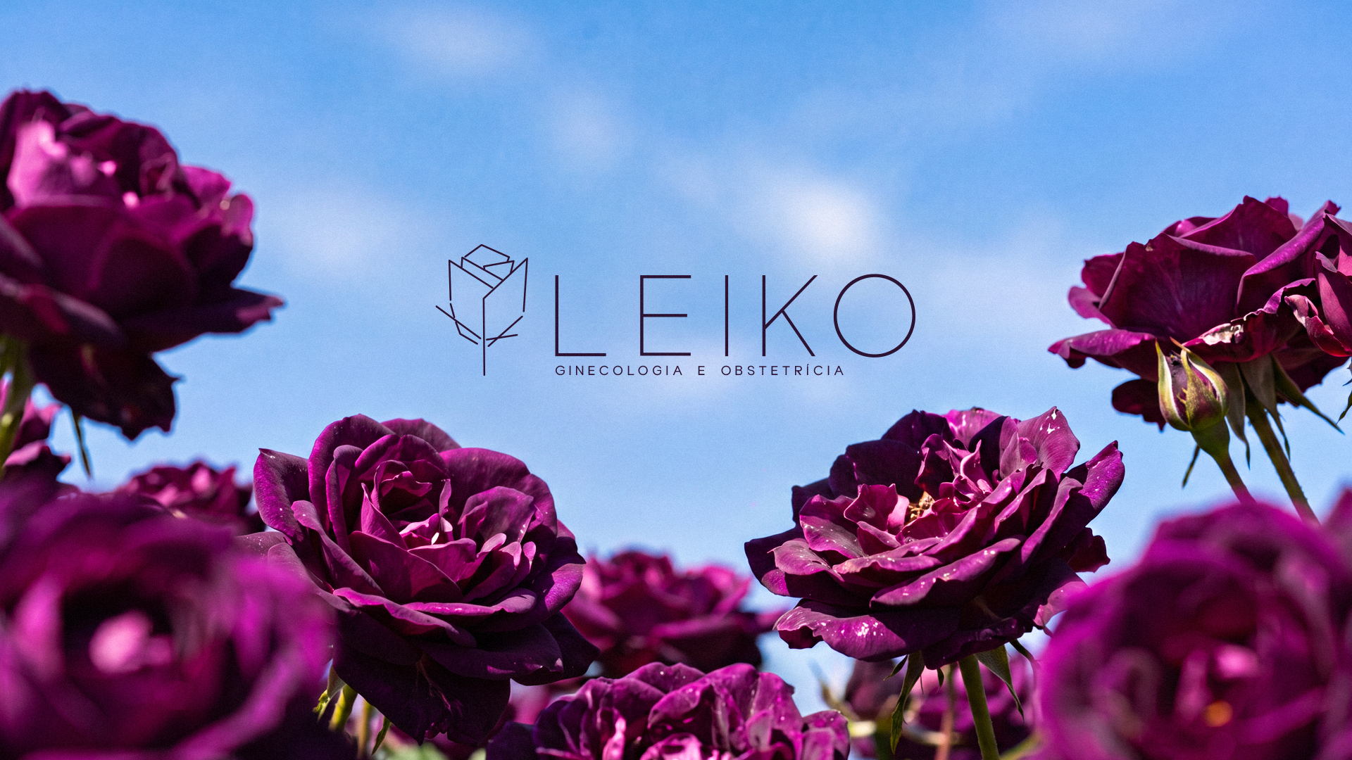 Projeto Leiko